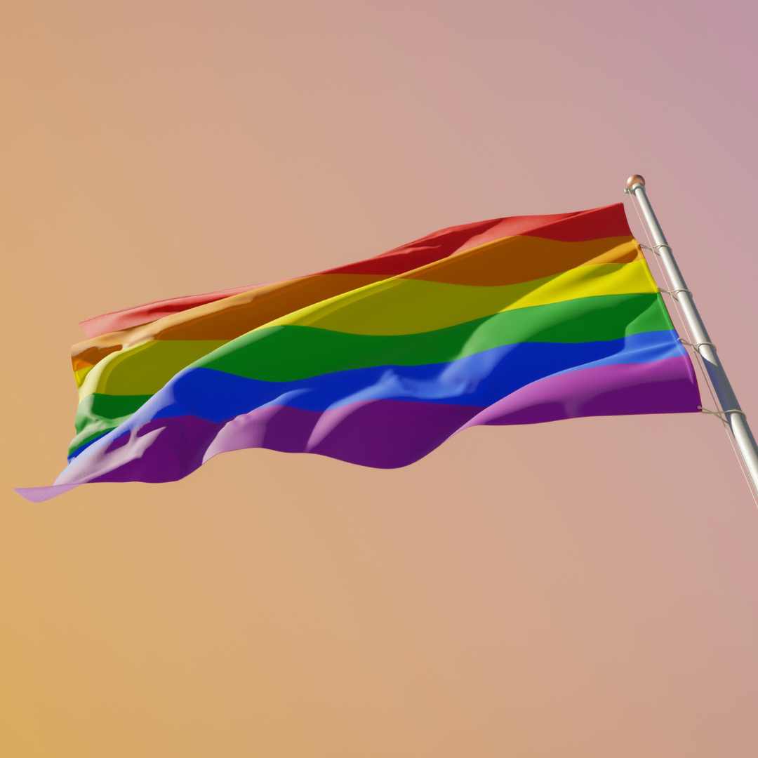 como-a-sua-empresa-acolhe-a-diversidade-lgbtqiapn-somos-newa-carine-roos